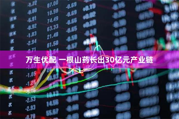 万生优配 一根山药长出30亿元产业链