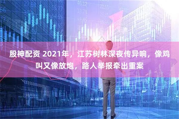 股神配资 2021年，江苏树林深夜传异响，像鸡叫又像放炮，路人举报牵出重案
