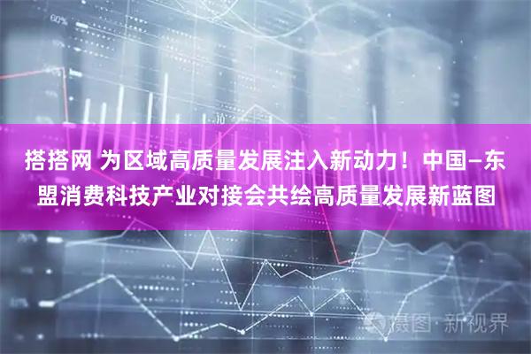 搭搭网 为区域高质量发展注入新动力！中国—东盟消费科技产业对接会共绘高质量发展新蓝图