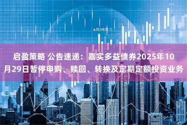 启盈策略 公告速递：嘉实多益债券2025年10月29日暂停申购、赎回、转换及定期定额投资业务
