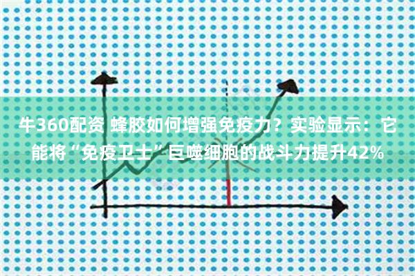 牛360配资 蜂胶如何增强免疫力？实验显示：它能将“免疫卫士”巨噬细胞的战斗力提升42%