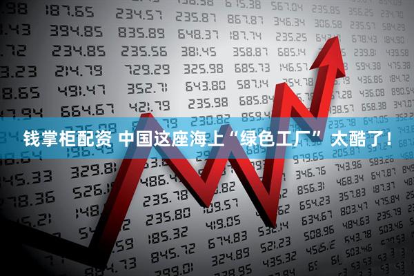 钱掌柜配资 中国这座海上“绿色工厂” 太酷了！